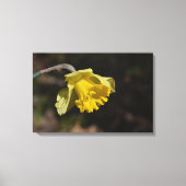 gele diaffodilventilator 24,00 x 16,00 inch canvas afdruk (Voorkant)