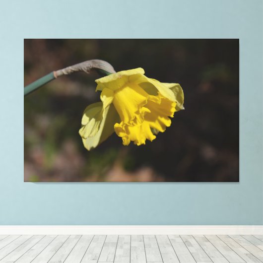  gele diaffodilventilator 48,00 x 32,00 inch canvas afdruk (Insitu (Houten vloer))
