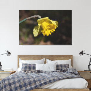 gele diaffodilventilator 48,00 x 32,00 inch canvas afdruk