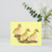 Gele ducklings briefkaart (Staand voorkant)