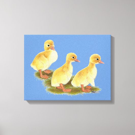 Gele ducklings canvas afdruk (Voorkant)