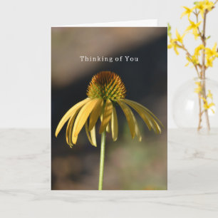 Gele Echinacea Verjaardag (fotografie door mij) Kaart