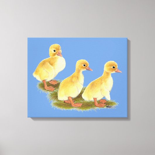 Gele Eendjes Canvas Afdruk (Voorkant)