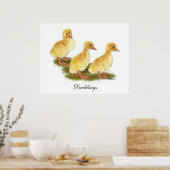 Gele Eendjes Poster (Keuken)
