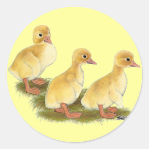 Gele Eendjes Ronde Sticker