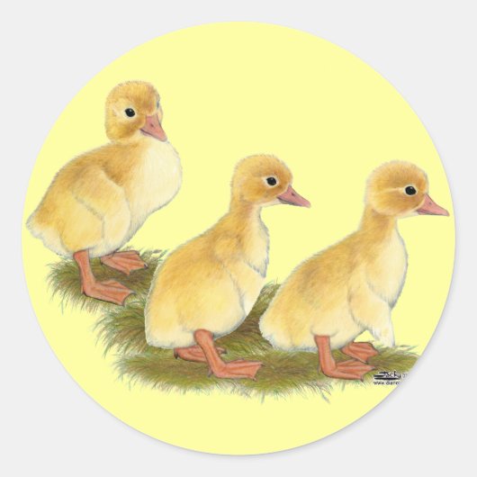Gele Eendjes Ronde Sticker (Voorkant)