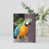 Gele en blauwe ara briefkaart (Staand voorkant)