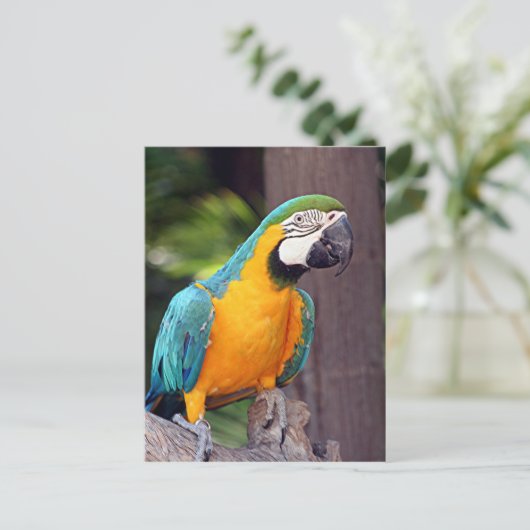 Gele en blauwe ara briefkaart (Staand voorkant)