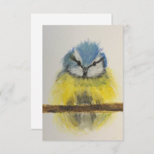 Gele en blauwe kaart voor vogels met envelop (Voorkant / Achterkant)