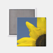 Gele en blauwe zonnebloemhoek magneet (Voorkant / Achterkant)