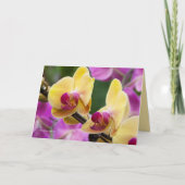 Gele en Fushia orchidee Kaart (Voorkant)