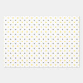 Gele en grijze polka-punten & strepen schattig hel inpakpapier vel (Voorkant 2)