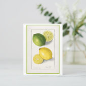 Gele en groene citroen  Waterverf Briefkaart (Staand voorkant)