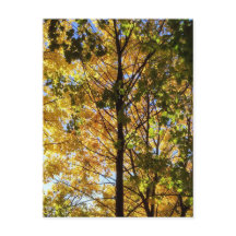 Gele en groene Herfst