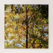 Gele en groene Herfst