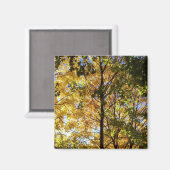 Gele en groene Herfst Magneet (Voorkant / Achterkant)