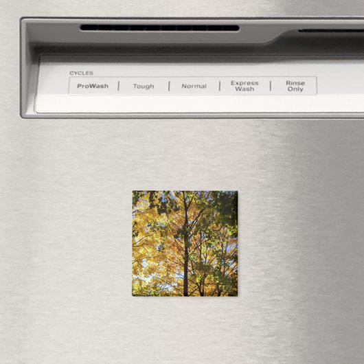 Gele en groene Herfst Magneet (Insitu (Vaatwasser))