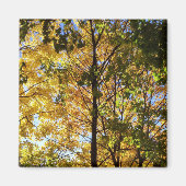 Gele en groene Herfst Magneet (Voorkant)