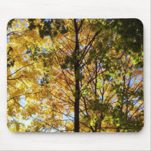 Gele en groene Herfst