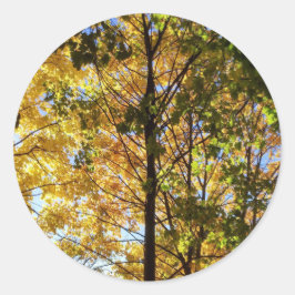 Gele en groene Herfst Ronde Sticker