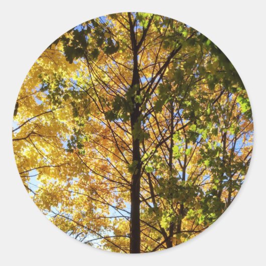 Gele en groene Herfst Ronde Sticker (Voorkant)