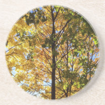 Gele en groene Herfst