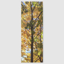 Gele en groene herfstloof