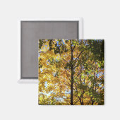 Gele en groene herfstloof magneet (Voorkant / Achterkant)