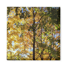 Gele en groene herfstloof