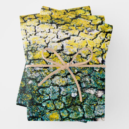 Gele en Groene Natuur Inpakpapier Vel (In situ)