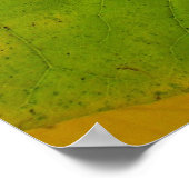 Gele en groene redbud-bladeren poster (Hoek)