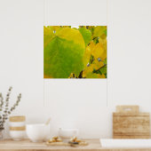 Gele en groene redbud-bladeren poster (Keuken)