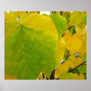 Gele en groene redbud-bladeren poster