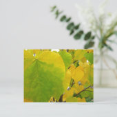 Gele en groene redbudbladeren briefkaart (Staand voorkant)
