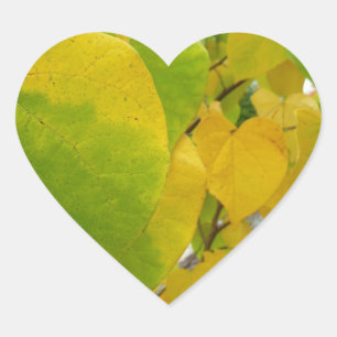 Gele en groene redbudbladeren hart sticker