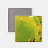 Gele en groene redbudbladeren magneet (Voorkant / Achterkant)