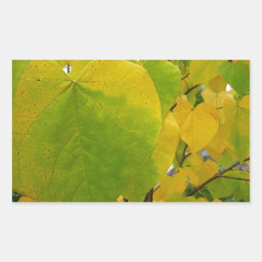 Gele en groene redbudbladeren rechthoekige sticker (Voorkant)