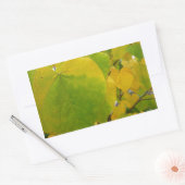 Gele en groene redbudbladeren rechthoekige sticker (Envelop)