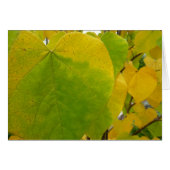 Gele en groene robots (Voorkant Horizontaal)