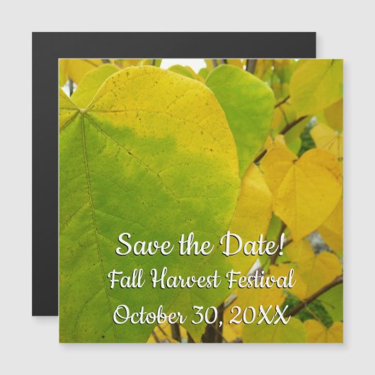 Gele en groene robots (Voorkant / Achterkant)