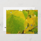 Gele en groene robots briefkaart (Voorkant / Achterkant)