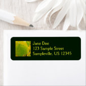 Gele en groene robots etiket (Insitu)