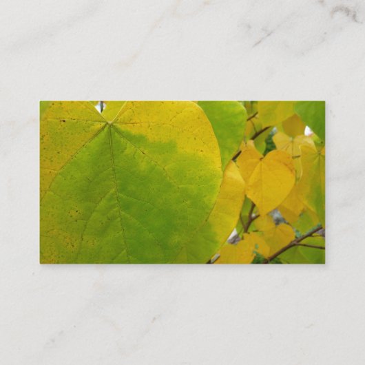 Gele en groene robots visitekaartje (Achterkant)