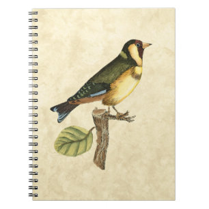 Gele en groene vogel op een takje notitieboek