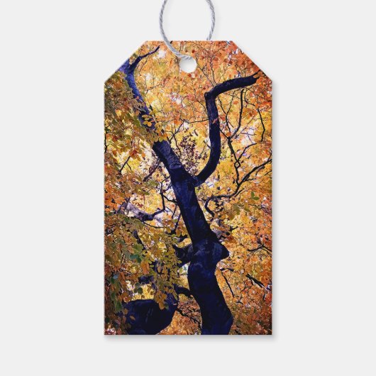 Gele en oranje bladeren cadeaulabel (Voorkant)