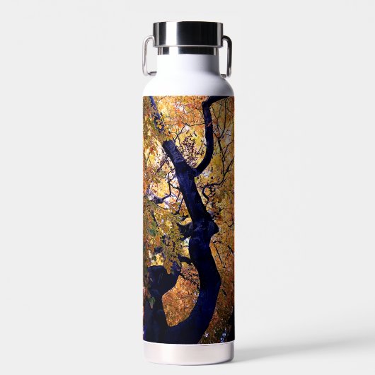 Gele en oranje bladeren waterfles (Voorkant)