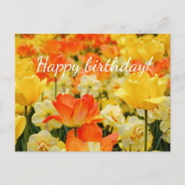 Gele en Oranje bloemen Briefkaart