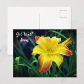 Gele en oranje daglelie Beterschap Briefkaart (Voorkant / Achterkant)