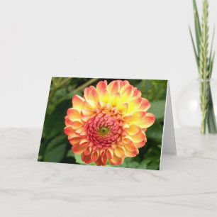 Gele en oranje dahlia op een blanco briefkaart
