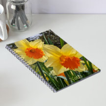 Gele en oranje narcissen bloemen notitieboek
